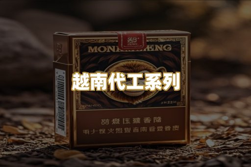 越南代工系列